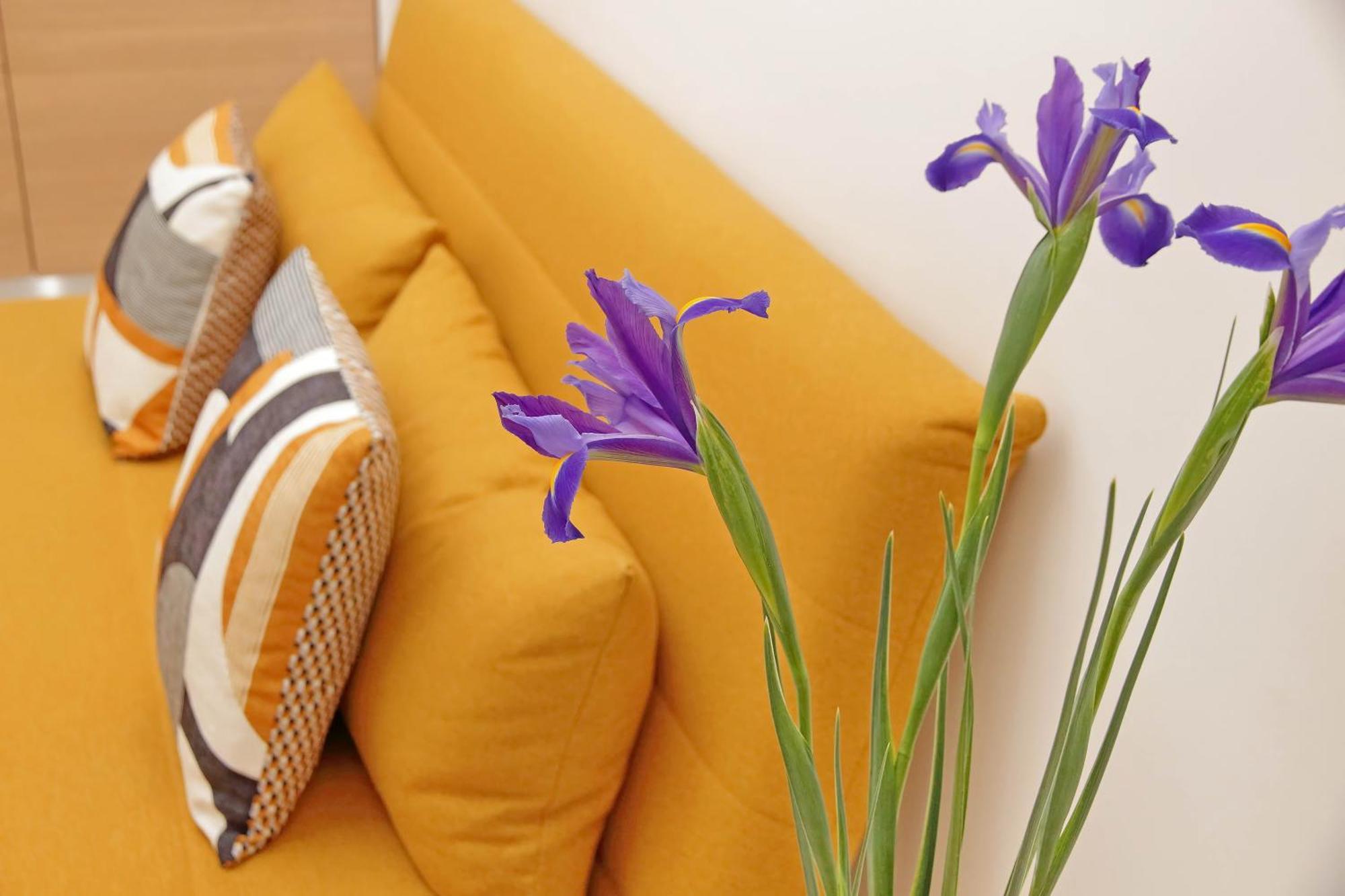 & Apartamento Roma